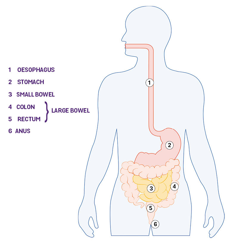 best of Disease anus crohn