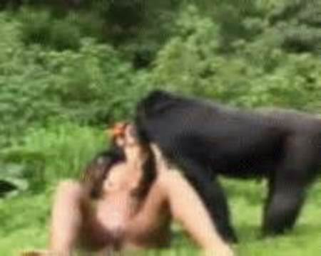 Naked fucking gorillas