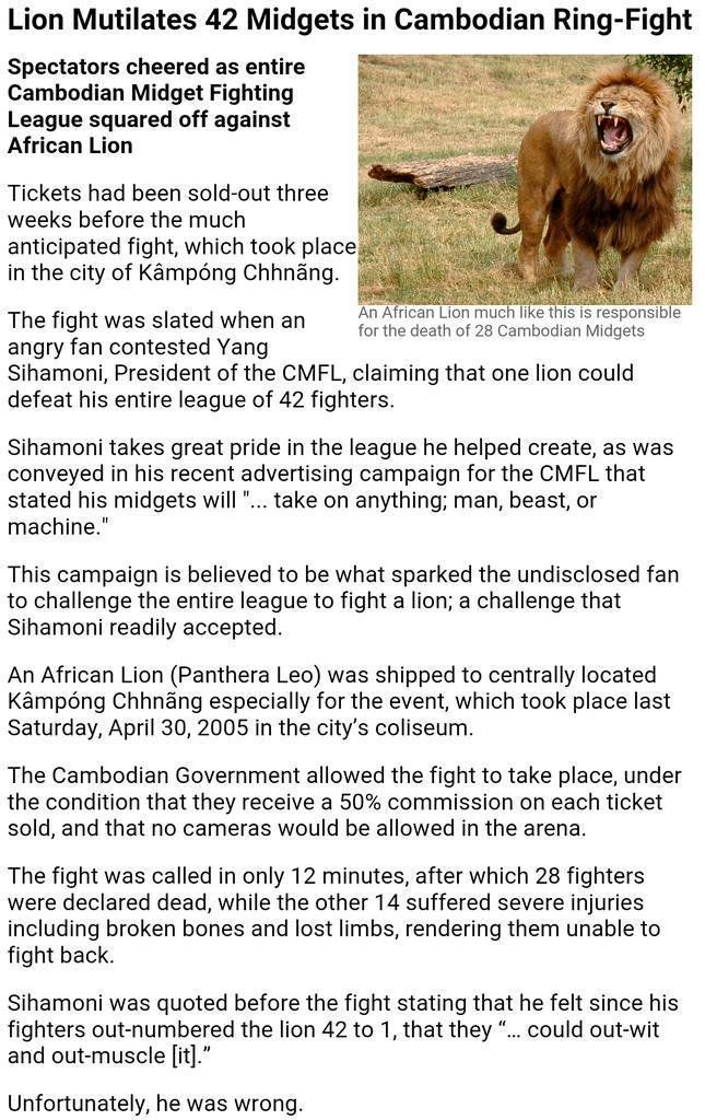 Lion mutilates 42 cambodian midget fighters