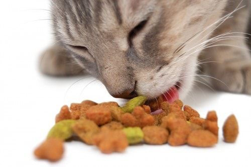 best of Food lick Cat chops lowest